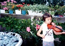 Violin