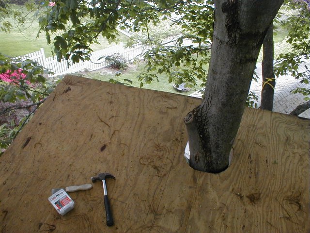 Roof north from above